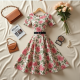 Timeless Elegance Vintage Swing Dress